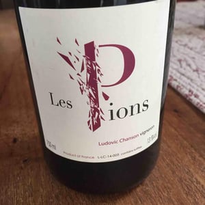 Ludovic Chanson - Ludovic Chanson - Les Pions