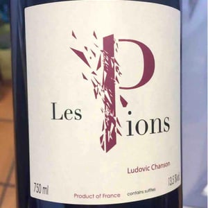 Les Pions - Ludovic Chanson - ludovic-chanson