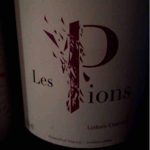 Les Pions - Ludovic Chanson - ludovic-chanson