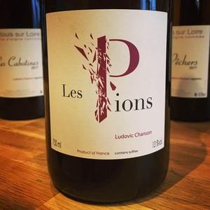 Les Pions - Ludovic Chanson - ludovic-chanson