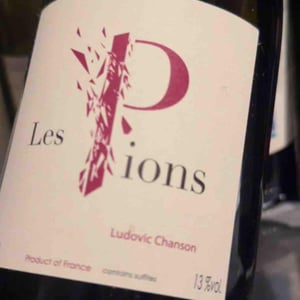 Les Pions - Ludovic Chanson - Ludovic Chanson 