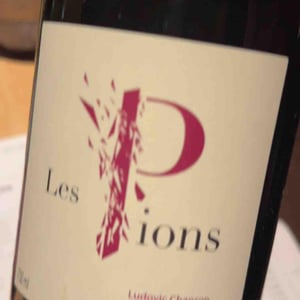 Les Pions - Ludovic Chanson - Ludovic Chanson 