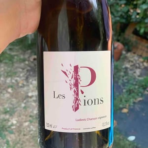 Les Pions - Ludovic Chanson - Ludovic Chanson 
