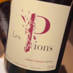 Les Pions - Ludovic Chanson - Ludovic Chanson 