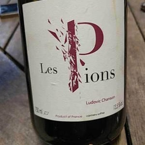 Les Pions - Ludovic Chanson - ludovic-chanson