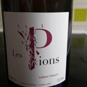 Ludovic Chanson - Ludovic Chanson - Les Pions