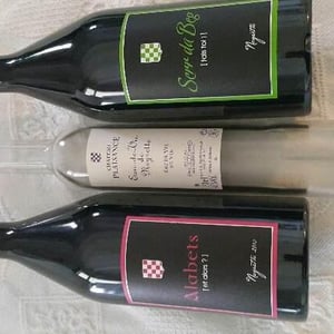 Les Plaisirs Negrette 2016 - 