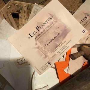 Les Plantes - Domaine Maître - alain-maitre