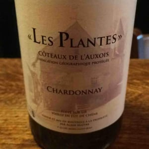 Les Plantes - Domaine Maître - Alain Maître 