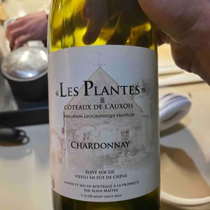 Les Plantes - Domaine Maître - alain-maitre