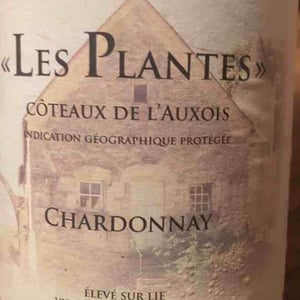 Les Plantes - Domaine Maître - Alain Maître 