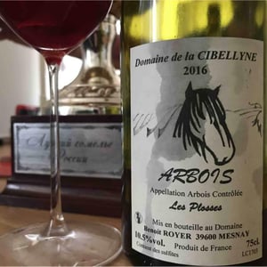 Les Plosses - Domaine de la Cibellyne - Benoît Royer 