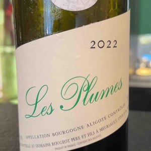 Les plumes - Domaine Rougeot Père et Fils - pierre-henri-marc-rougeot -2022