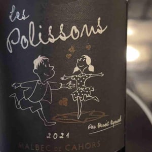 Les Polissons - Clos d’Audhuy - Benoit Aymard -2016