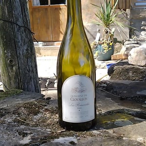 Les Pomarèdes - Domaine de Clovallon - alix-roque