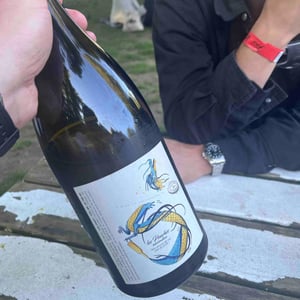 Les Pouches Macération (2021 label) - François Saint-Lô - François Saint-Lô 