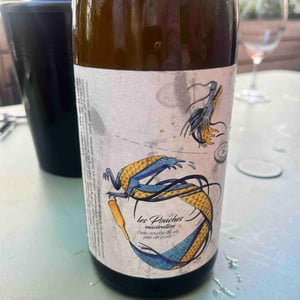 Les Pouches Macération (2021 label) - François Saint-Lô - François Saint-Lô