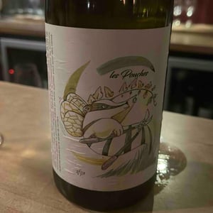 Les Pouches Macération (2020 label) - François Saint-Lô - François Saint-Lô 