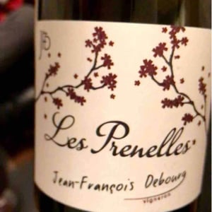 Les Prenelles - Domaine Jean François Debourg - Jean-François & Ghislaine Debourg 