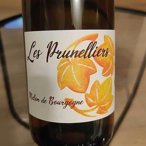 les prunelliers - Les Vins Jardinés - Yoann Gillot 