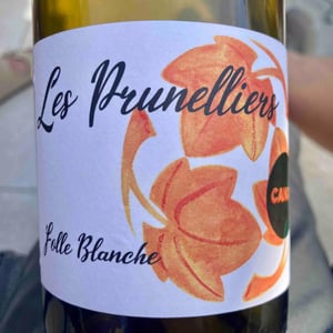 les prunelliers - Les Vins Jardinés - Yoann Gillot 