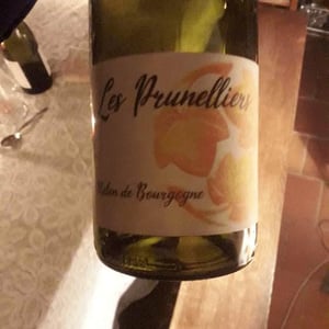 Les Vins Jardinés - Yoann Gillot - les prunelliers