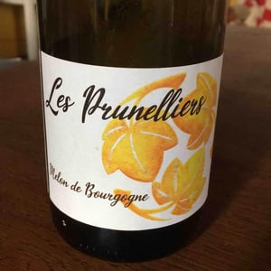 les prunelliers - Les Vins Jardinés - Yoann Gillot 