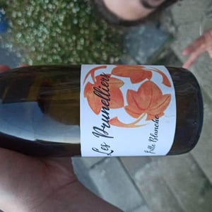 les prunelliers - Les Vins Jardinés - Yoann Gillot 