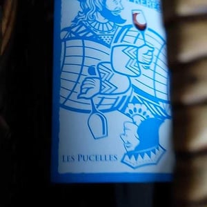 Domaine Des Frères - Marie et Valentin Bruneau - Les Pucelles