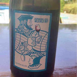 Domaine Des Frères - Marie et Valentin Bruneau - Les Pucelles