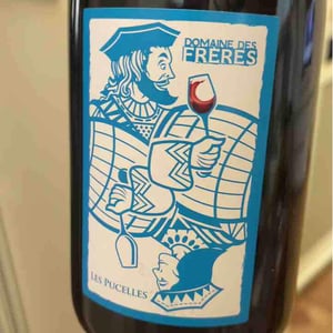 Domaine Des Frères - Marie et Valentin Bruneau - Les Pucelles