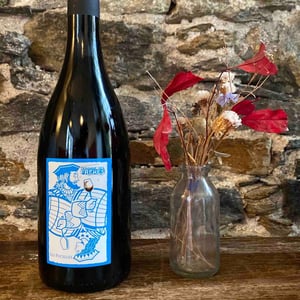 Les Pucelles - Domaine Des Frères - marie-et-valentin-bruneau