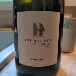 Les Racines - Domaine Frédéric Mabileau - Rémy Mabileau 