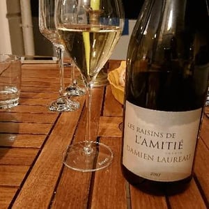 Les Raisins De L'amitié - Domaine Laureau - florence-damien-laureau