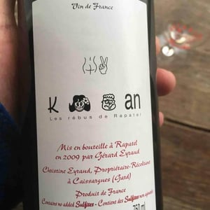 Les Rébus de Rapatel - Domaine de Rapatel - gerard-eyraud