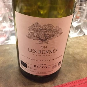 Les Rennes - Pierre Boyat - Pierre Boyat 