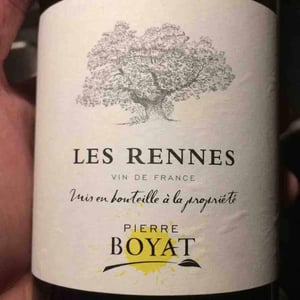 Les Rennes - Pierre Boyat - pierre-boyat