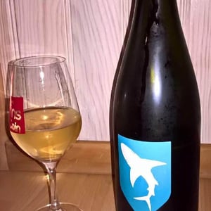 Les Requins 2017