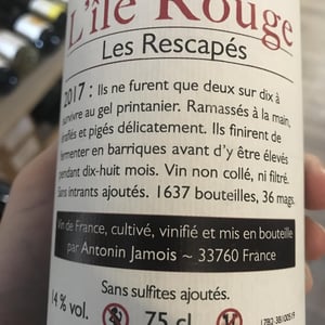 Les Rescapés - L'île Rouge - Antonin Jamois 