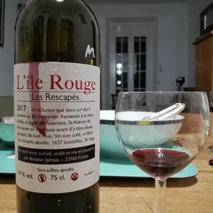 Les Rescapés - L'île Rouge - Antonin Jamois 