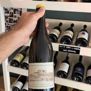 Les Resistants - Domaine Ganevat - anne-jean-francois-ganevat