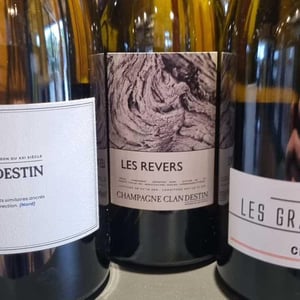 Les Reverse - Champagne Clandestin - Benoît Doussot