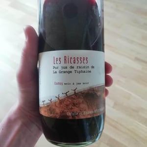 Les Ricasses - 