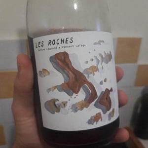 Les Roches - Les Salicaires - vincent-lafage