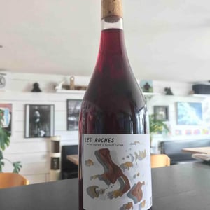Les Roches - Les Salicaires - vincent-lafage