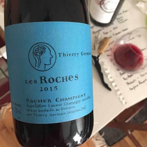 Les Roches - Domaine des Roches Neuves - thierry-et-louis-germain