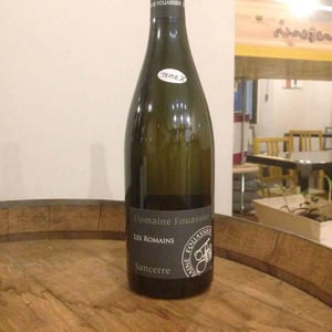 Les Romains - Domaine Fouassier - benoit-paul-fouassier