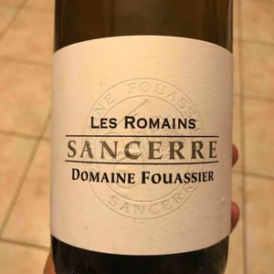 Les Romains - Domaine Fouassier - benoit-paul-fouassier