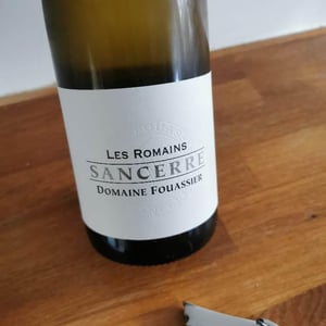 Les Romains - Domaine Fouassier - benoit-paul-fouassier