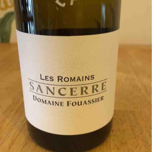 Les Romains - Domaine Fouassier - benoit-paul-fouassier